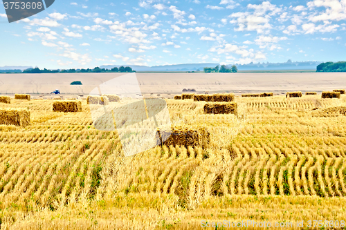 Image of Bales of straw rectangular and sky