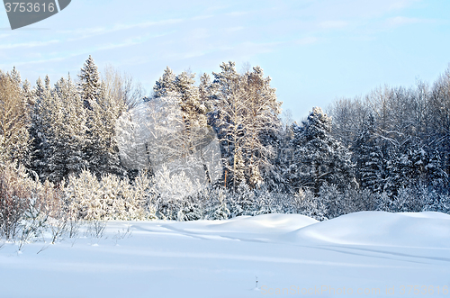 Image of Forest winter with a narrow road
