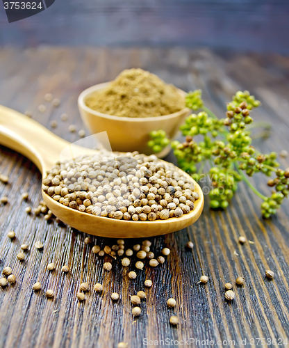 Image of Coriander in bowl and spoon on board