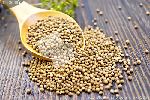 Image of Coriander seeds in spoon on dark board