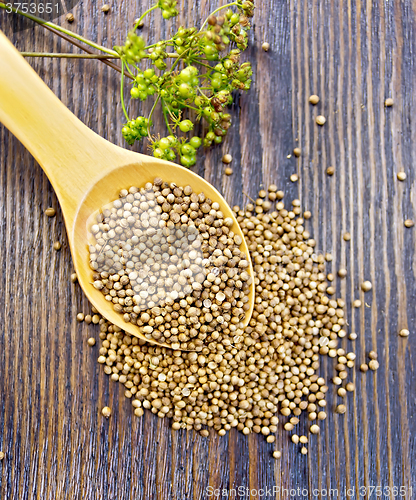 Image of Coriander seeds in spoon on board top