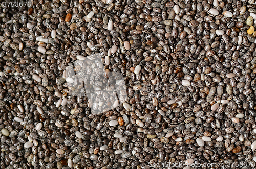 Image of Black chia seeds