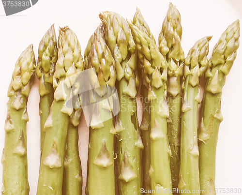 Image of Retro looking Asparagus vegetable