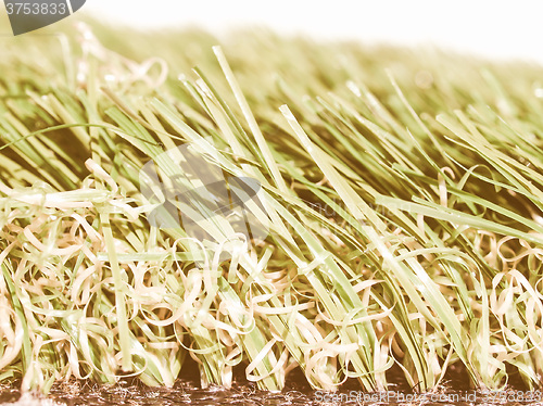 Image of  Artificial meadow vintage