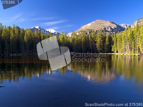 Image of Nymph Lake Morning