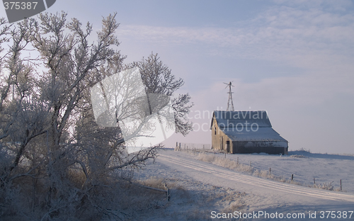 Image of Rural Winter Morning