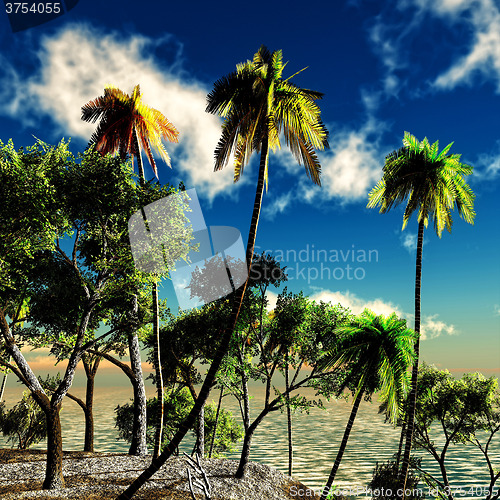 Image of Beautiful tropical island 