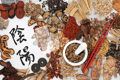 Image of Traditional Chinese Herbal Medicine
