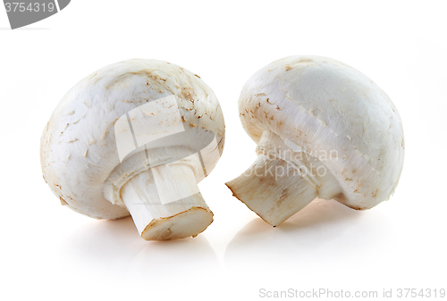 Image of champignon mushrooms on white background