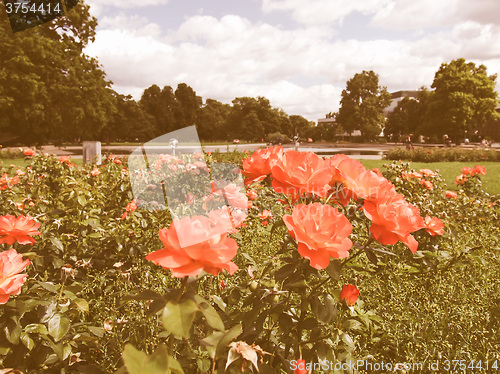 Image of Gardens in Stuttgart Germany vintage