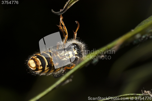 Image of hanging in there