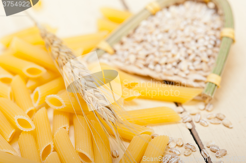 Image of Italian pasta penne with wheat