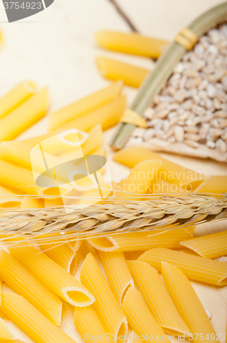 Image of Italian pasta penne with wheat