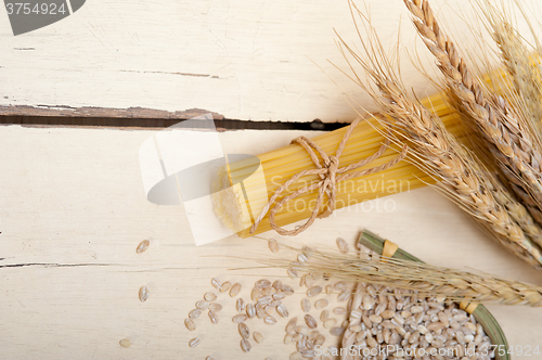 Image of organic Raw italian pasta and durum wheat 