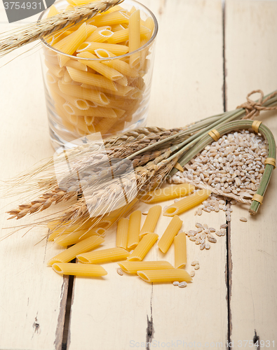 Image of Italian pasta penne with wheat