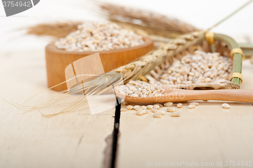 Image of organic barley grains