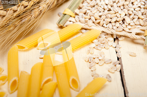 Image of Italian pasta penne with wheat