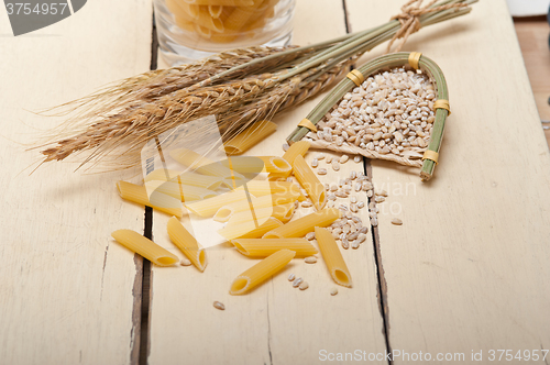 Image of Italian pasta penne with wheat