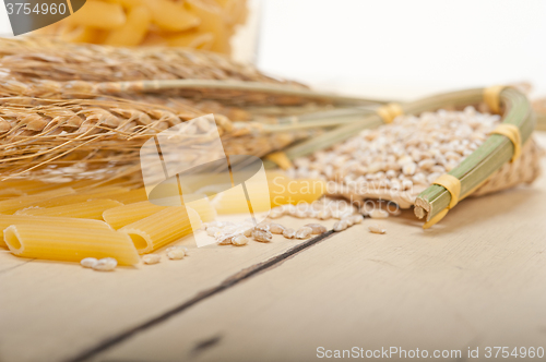 Image of Italian pasta penne with wheat