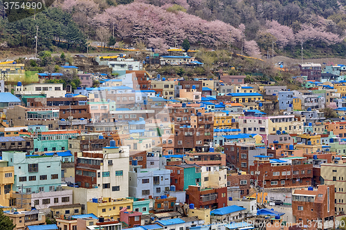 Image of Gamcheon Culture Village