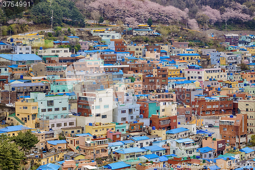 Image of Gamcheon Culture Village