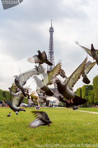 Image of Eiffel tower in Paris