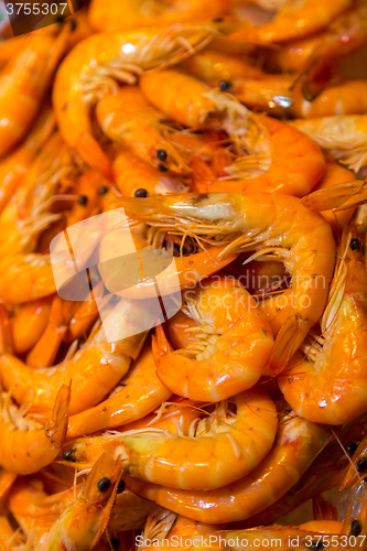 Image of Shrimps