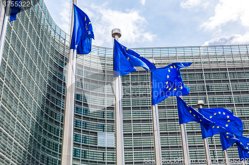 Image of European flags  in Brussels