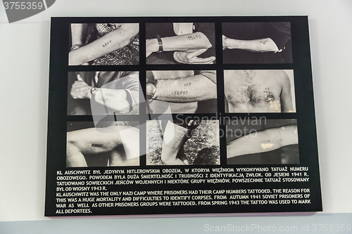 Image of Exhibition in Concentration camp in Auschwitz.