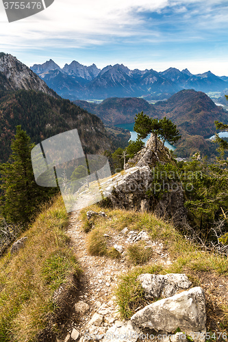 Image of Alps and forestin a summer day in Germany