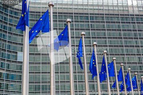 Image of European flags  in Brussels