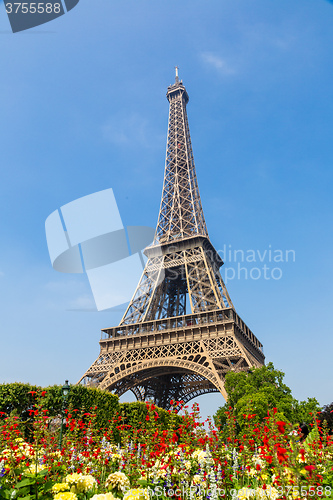 Image of The Eiffel Tower in Paris