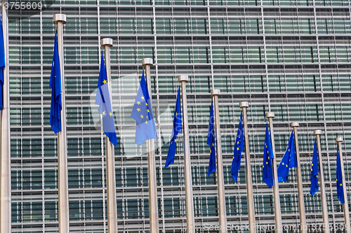 Image of European flags  in Brussels