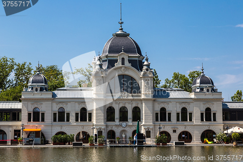 Image of The newly renovated Skating rink (now as lake) in the Main city 