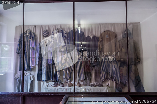 Image of Exhibition with prisoners\' clothes in Auschwitz