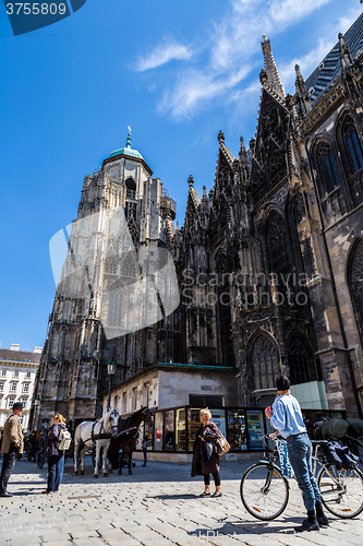 Image of Beautiful view of St. Stephen\'s Cathedral at evening, Vienna, Au