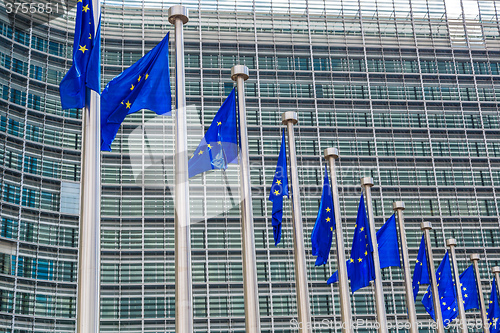 Image of European flags  in Brussels