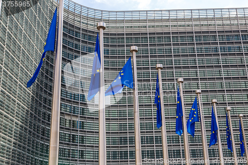 Image of European flags  in Brussels