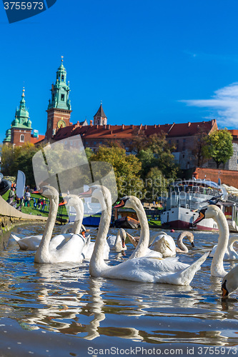 Image of Wawel castle in Krakow