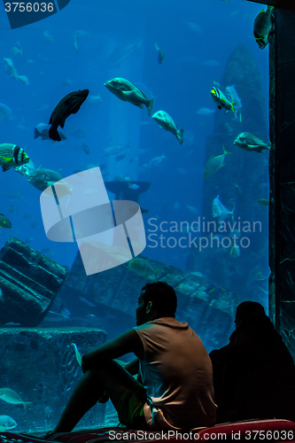 Image of Huge aquarium in a hotel Atlantis in Dubai on the Palm islands