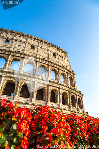 Image of Colosseum in Rome