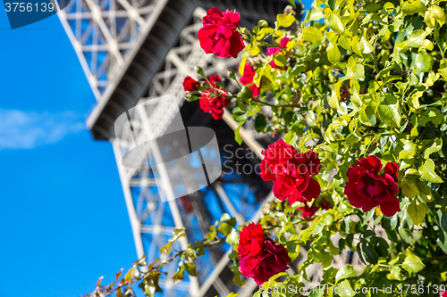 Image of The Eiffel Tower in Paris