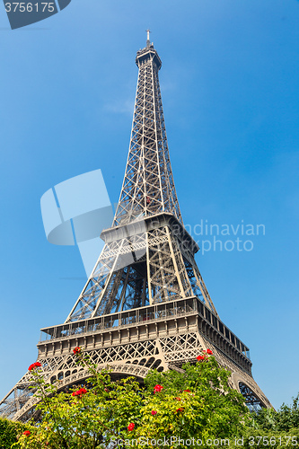 Image of The Eiffel Tower in Paris
