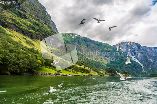 Image of Sognefjord in Norway