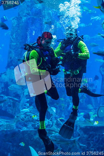 Image of Huge aquarium in Dubai. Diver feeding fishes.