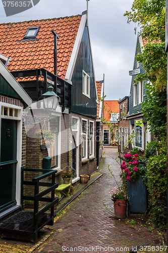 Image of Traditional houses in Holland
