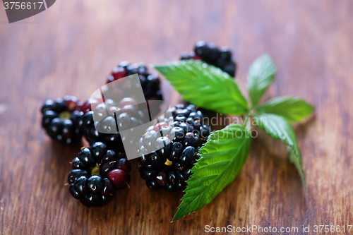 Image of blackberry