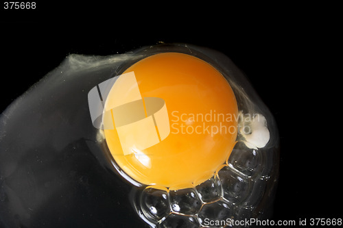 Image of egg