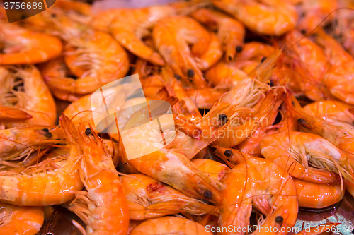 Image of Shrimps