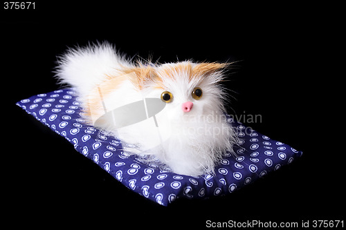 Image of cat toy